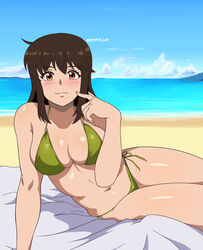  absurdres beach bikini blush breasts brown_eyes brown_hair cleavage closed_mouth collarbone female green_bikini highres josephscrand kyochuu_rettou large_breasts long_hair looking_at_viewer navel ocean oribe_mutsumi outdoors side-tie_bikini_bottom sky smile solo swimsuit 