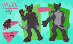  absurd_res anthro black_body black_fur black_nose brown_body domestic_cat english_text eyewear felid feline felis fur glasses grey_body grey_fur hi_res lykoi male mammal model_sheet oxbowrox pawpads paws slim solo text vada_(verselynx) yellow_eyes 