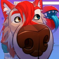  1:1 ahya_(legend_of_ahya) anthro blue_eyes blueteaa boop canid canine canis female fisheye_lens fur goofy_smile hair heterochromia hi_res legend_of_ahya mammal nose_boop red_body red_fur red_hair solo tail tail_mouth taylor_renee_wolford_(darkflamewolf) tongue tongue_out unusual_anatomy unusual_tail wolf yellow_eyes 