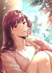  absurdres bare_legs blue_sky blunt_bangs blush breasts cardigan cherry_blossoms cleavage collarbone commentary_request day feet_out_of_frame female flower girls&#039;_frontline highres jewelry knees_up long_hair looking_at_viewer medium_breasts open_cardigan open_clothes parted_lips pink_cardigan purple_hair red_eyes ring shirt signature sitting sky solo sparkle stigmamyu sunlight wa2000_(girls&#039;_frontline) wedding_ring white_shirt window 