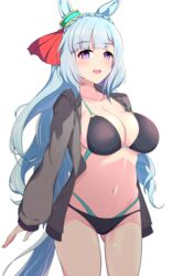  animal_ears bikini black_bikini black_jacket blue_hair braid breasts commentary cowboy_shot crown_braid female highres hood hooded_jacket hoodie horse_ears horse_girl horse_tail jacket large_breasts layered_bikini light_blue_hair long_hair looking_at_viewer mejiro_ardan_(umamusume) purple_eyes solo sousakubito standing swimsuit tail umamusume 