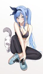  arms_between_legs bae_minah_(chaesu) bare_shoulders black_pants black_sports_bra blue_eyes blue_footwear blue_hair blush borrowed_character breasts cleavage collarbone commentary feline female full_body gradient_eyes hairband highres kaetzchen knee_up long_hair looking_at_viewer medium_breasts multicolored_eyes original pants ponytail shadow shoes shy signature simple_background sitting sneakers solo sports_bra sportswear symbol-only_commentary white_background white_cat yellow_eyes 