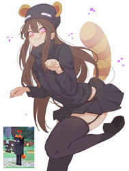  absurdres ander_(at2.) animal_ears at2. black_skirt black_thighhighs blush brown_hair closed_mouth commentary_request enderman female garter_straps highres long_hair long_sleeves looking_at_viewer minecraft personification pleated_skirt purple_eyes raccoon_ears raccoon_tail screenshot_inset skirt smile solo super_smash_bros. tail thighhighs 