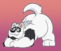  2021 anthro ass_up bear belly black_nose canid canine canis cute_fangs giant_panda hybrid jack-o&#039;_pose male mammal overweight overweight_male pose solo thepandobo white_body wolf 