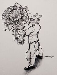  2022 anthro blush blush_lines bouquet bow_ribbon canid canine canis clothing coyote daisy_(flower) ears_back flower flower_bouquet footwear greyscale hi_res holding_object inktober looking_away male mammal monochrome nervous pivoted_ears plant rose_(flower) shoes slicked_back_hair solo suit sunflower tail tail_between_legs tangerin4yon traditional_media_(artwork) 