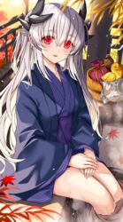  alternate_costume ashiyu bad_id bad_pixiv_id bath_yukata blue_kimono bucket dragon_girl dragon_horns fate/grand_order fate_(series) female foot_bath grey_hair highres horns japanese_clothes kimono kiyohime_(fate) kiyohime_(third_ascension)_(fate) long_hair morizono_shiki multiple_horns red_eyes rubber_duck sitting soaking_feet solo wooden_bucket yukata 