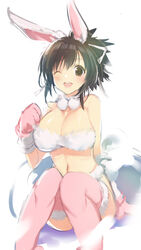  animal_ears animal_hands armpit_crease asuka_(senran_kagura) bare_shoulders bikini black_hair blush breasts brown_eyes cleavage female fur-trimmed_gloves fur-trimmed_thighhighs fur_bikini fur_bra fur_choker fur_collar fur_thighhighs fur_trim gloves hair_between_eyes hair_ribbon highres large_breasts linea_alba looking_at_viewer navel official_alternate_costume official_art one_eye_closed open_mouth pinball pink_thighhighs ponytail rabbit_ears rabbit_girl ribbon senran_kagura senran_kagura_peach_ball senran_kagura_shoujo-tachi_no_shin&#039;ei shiny_skin short_hair short_ponytail simple_background sitting smile solo swimsuit thighhighs tongue upper_body white_background white_ribbon yaegashi_nan 