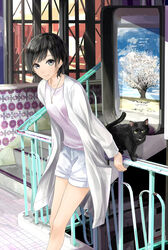  black_cat black_hair chef_no_kimagure_salad commentary_request cover_image feline female jewelry looking_at_viewer necklace official_art popcorn_lovers railing short_hair shorts smile solo stairs tree 