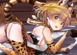  absurdres aburaeoyaji all_fours animal_print ass back backless_outfit blonde_hair blush bow bowtie breasts brown_eyes corset double-parted_bangs elbow_gloves extra_ears female flat_ass from_side gloves highres kemono_friends light_smile looking_at_viewer medium_hair miniskirt multicolored_hair open_mouth panties paw_pose print_bow print_bowtie print_gloves print_panties print_scarf print_skirt print_thighhighs scarf see-through_silhouette serval_(kemono_friends) serval_print shoulder_blades sideboob skirt solo thighhighs underwear 