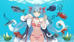  +_+ anglerfish bikini black_coat blue_eyes blue_hair breasts breasts_apart closed_mouth coat collarbone commentary cowboy_shot crab female fish fish_pendant hair_ornament halterneck hands_up hatsune_miku highres holding holding_plant jack_(fish) japanese_amberjack jewelry long_hair looking_at_viewer medium_breasts navel official_art open_clothes open_coat pendant plant sake-meron seaweed second-party_source shrimp side-tie_bikini_bottom single_bare_shoulder smile solo strap_lift string_bikini striped_bikini striped_clothes swimsuit twintails umi_no_searchlight_(vocaloid) underwater variant_set very_long_hair vocaloid yuki_miku yuki_miku_(2022) 