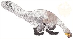  alpha_channel ambiguous_gender avian-king biped border claws dinosaur extinct feathered_dinosaur feathered_scalie feathers feral hi_res open_mouth prehistoric_species reptile scalie simple_background solo teeth therizinosaurid therizinosaurus theropod transparent_background white_border 