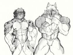  abs anthro australian_shepherd barazoku big_muscles body_hair canid canine canis chest_hair domestic_dog duo ears_up fur hair hairy herding_dog hi_res huge_muscles male mammal markings multicolored_body multicolored_fur muscular muscular_anthro muscular_male pastoral_dog pecs pinumontbalou pubes sheepdog spots spotted_body spotted_fur vein veiny_muscles wolf 