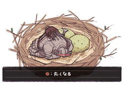  armor artist_request dark_souls dark_souls_ii egg from_software souls_(from_software) the_pursuer translation_request 