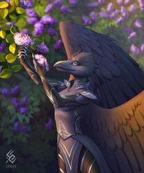  anthro armor artist_logo artist_name avian blue_eyes blue_sclera cereus93 cheek_tuft clothed clothing facial_tuft feathered_wings feathers female flower grey_armor grey_body grey_feathers grey_wings head_tuft holding_flower holding_object lilac_(flower) logo mouth_closed outside plant portrait shrub solo standing three-quarter_portrait tuft wings 