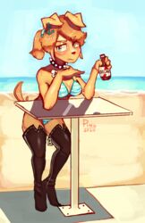  4_fingers amber_(ping-ether) anthro beverage bikini blue_eyes boots breasts brown_hair canid canine canis clothing collar day domestic_dog ear_piercing female fingers footwear fur furniture hair hi_res high_heeled_boots high_heels holding_beverage holding_object legwear mammal piercing pingpenne ponytail seaside shoes solo standing swimwear table tan_body tan_fur thigh_boots thigh_highs water 