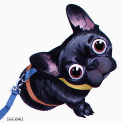  1:1 2023 4_toes adobe_photoshop_(artwork) alice_pisoni ambiguous_feral ambiguous_gender artist_name black_body black_claws black_fur black_nose bulldog canid canine canis claws collar colored digital_drawing_(artwork) digital_media_(artwork) domestic_dog english_description feet feral french_bulldog fur harness hi_res leash light lighting looking_at_viewer mammal mastiff molosser mouth_closed paws shaded simple_background sitting small_molosser solo text toe_claws toes toy_dog white_background yellow_collar 