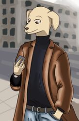  alexandliberty anthro beastars bird_dog black_clothing black_shirt black_topwear brown_eyes canid canine canis cellphone city clock clothing domestic_dog electronics hi_res hunting_dog jack_(beastars) jacket labrador male mammal phone retriever shirt solo street topwear walking watch 