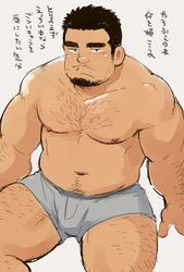  1boy arm_hair bara belly black_hair boxer_briefs bulge chest_hair chugo_tsubai_(suv) city_boy_on_the_island_(suv) facial_hair feet_out_of_frame goatee grey_male_underwear hairy leg_hair looking_at_viewer male_focus male_underwear muscular muscular_male navel navel_hair nipples pectorals plump short_hair solo spread_legs stomach stubble suv_(suv032) thick_eyebrows thick_thighs thighs topless_male translation_request underwear underwear_only 