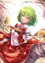  kazami_yuuka kkkk12103 tagme touhou 