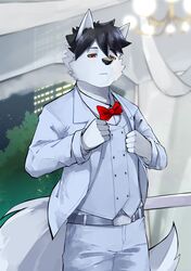  absurd_res angel_wolf_(angel_generations) anthro belt belt_buckle black_hair black_nose brown_eyes buckle building canid canine canis city city_background clothing elegant elegant_pose fluffy fur furniture hair hi_res lights male mammal mii_andrean night plant shirt solo suit table tail topwear tree vest white_belt white_body white_clothing white_fur white_inner_ear white_shirt white_suit white_tail white_topwear white_vest wolf 