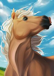  ambiguous_gender blonde_hair blonde_mane brown_body cloud daisy_(wasen) digital_media_(artwork) equid equine facial_markings feral hair head_markings horse looking_away looking_up mammal mane markings rasaan solo 