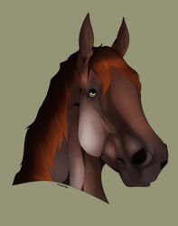  ambiguous_gender brown_hair brown_mane digital_media_(artwork) equid equine feral green_eyes hair hi_res horse kurayamisheo looking_up mammal mane simple_background solo trent_(wasen) 