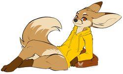  2020 anthro anthrofied arm_support better_version_at_source bottomless brown_body brown_eyes brown_fur canid canine clothed clothing fennec_fox fox fur gloves_(marking) hi_res hoodie kuroodod leaning_on_elbow leg_markings looking_at_viewer male mammal markings sam_(changing_fates) simple_background smile socks_(marking) solo thegrapedemon thick_thighs topwear true_fox white_background 