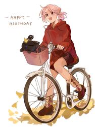  1boy bicycle black_cat black_shorts brown_footwear chinese_commentary commentary_request drawstring feline female full_body ginkgo_leaf happy_birthday heixiu highres hood hood_down hoodie latutou1 leaf luo_xiaobai luo_xiaohei luo_xiaohei_(cat) luo_xiaohei_zhanji open_mouth pink_hair red_hoodie shoes short_hair shorts smile socks white_background 