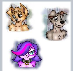  2022 angel_(lady_and_the_tramp) anthro canid canine canis collar collar_only disney domestic_dog female folwilliar fur group hair half-closed_eyes hasbro headshot_portrait lady_and_the_tramp littlest_pet_shop littlest_pet_shop_(2012) looking_at_viewer male mammal narrowed_eyes nude one_eye_obstructed portrait tramp_(lady_and_the_tramp) trio zoe_trent 