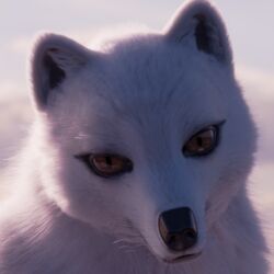  1:1 3d_(artwork) ambiguous_gender arctic_fox canid canine digital_media_(artwork) feral fox johnwulffe mammal solo true_fox 