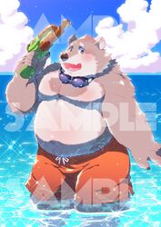  2018 bear belly clothing detailed_background jambavan_(tas) lifewonders male mammal moobs navel overweight overweight_male solo star_parlor swimwear tokyo_afterschool_summoners water 