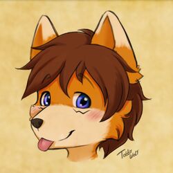  1:1 alternate_version_at_source anthro blep blush canid canine digital_media_(artwork) fox headshot_portrait icon looking_at_viewer luvini male mammal pink_tongue portrait solo tobbywolf tongue tongue_out 