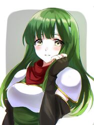  aone_hiiro armor bad_id bad_twitter_id black_gloves blush breastplate commentary_request elbow_gloves female fingerless_gloves fire_emblem fire_emblem:_mystery_of_the_emblem gloves green_hair headband long_hair palla_(fire_emblem) parted_lips simple_background solo upper_body white_headband yellow_eyes 