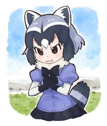  animal_ears bad_id bad_twitter_id blue_hair blush bow bowtie brown_eyes commentary common_raccoon_(kemono_friends) elbow_gloves female gloves grey_hair hakkatou hands_on_own_chest kemono_friends multicolored_hair own_hands_together pleated_skirt puffy_sleeves raccoon_ears raccoon_tail short_hair skirt solo tail white_hair 