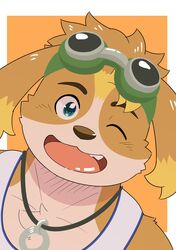  anthro canid canine canis clothing domestic_dog eyewear floppy_ears fur goggles hi_res hisaki_(live_a_hero) jewelry lifewonders live_a_hero male mammal morosuhe multicolored_body multicolored_fur necklace one_eye_closed shirt smile solo tank_top topwear wink 