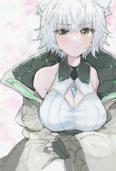  animal_ears blush breasts cat_ears cat_girl chest_jewel cleavage cleavage_cutout clothing_cutout core_crystal_(xenoblade) crystal diamond_cutout female fingerless_gloves gloves jacket long_sleeves looking_at_viewer messy_hair morina_nao na&#039;el_(xenoblade) pout short_hair solo xenoblade_chronicles_(series) xenoblade_chronicles_3 xenoblade_chronicles_3:_future_redeemed yellow_eyes 