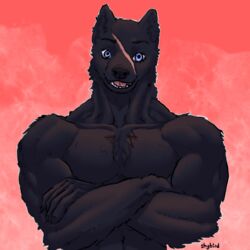  1:1 absurd_res anthro bared_teeth black_body blue_eyes canid canine canis flexing flexing_pec fluffy hi_res humanoid male mammal muscular muscular_male red_background scar shybird simple_background smile solo teeth weretober wolf zeke_(shybird) 