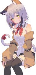  absurdres animal_ear_fluff animal_ears bare_shoulders belt black_belt black_thighhighs bow bowtie brown_sleeves cat_ears cat_girl cat_tail closed_mouth commentary_request commission detached_sleeves female grey_hair highres jun_(aousa0328) light_smile looking_at_viewer original red_bow red_bowtie red_ribbon ribbon shirt short_hair simple_background skeb_commission sleeveless sleeveless_shirt solo tail tail_ornament tail_ribbon thighhighs white_background white_shirt yellow_eyes 