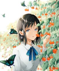  animal bad_id bad_twitter_id black_hair blue_bow blue_bowtie blue_butterfly blue_eyes blue_ribbon bow bowtie bug butterfly dress_shirt earrings female flower hand_up highres holding holding_flower jewelry long_sleeves looking_at_viewer original parted_lips ribbon shirt short_hair solo tadano_yukiko upper_body white_shirt 