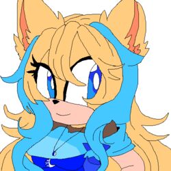  1:1 alpha_channel anthro blizzerum digital_media_(artwork) eulipotyphlan fan_character female fur hair hedgehog looking_at_viewer low_res mammal pixel_(artwork) pixelated sega solo sonic_the_hedgehog_(series) 