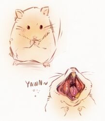  animal animal_focus commentary_request grey_background hamster multiple_views no_humans numbers_(pigpenandpaper) open_mouth original teeth tongue yawning 