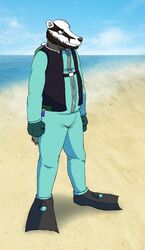  2015 anthro augen_sinum_(character) augensinum badger beach beard bottomwear clothed clothing colored detailed_background digital_drawing_(artwork) digital_media_(artwork) facial_hair flippers footwear fur gloves green_eyes growling handwear hi_res male mammal mustelid musteline outside oxygen_tank sand scuba sea seaside simple_background sky smile solo standing swimwear topwear true_musteline water weasel wetsuit zipper 