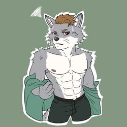  1:1 2023 abs annoyed anthro armpit_hair athletic athletic_male bodily_fluids body_hair bottomwear brown_hair canid canine clothed clothing colored corsac_fox digital_media_(artwork) fox fur grey_body grey_fur hair hi_res inner_ear_fluff male mammal mnesis nipples pants partially_clothed pecs simple_background solo standing super-nova swaggy_tamago sweat sweatdrop tail true_fox tuft undressing 