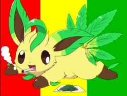  :3 :d brown_sclera chromatic_aberration cigarette colored_sclera commentary_request drooling flag_background full_body guinean_flag happy highres joint_(drug) kemoribon leaf leaf_on_head leafeon looking_at_viewer lying marijuana mouth_hold multiple_tails no_humans on_stomach open_mouth outstretched_arms paper pokemon pokemon_(creature) saliva simple_background smile smoke smoking solo stoned tail wall-eyed what white_eyes 