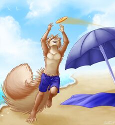  2014 5_toes ambient_bird ambient_seagull anthro armpit_hair ash_greytree beach beach_umbrella big_tail blonde_hair blue_sky body_hair bottomwear brown_body brown_fur claws clothed clothing cloud conditional_dnp day digital_media_(artwork) feet fluffy fluffy_tail frisbee full-length_portrait fur green_eyes hair male mammal open_mouth outside parasol playing portrait ratte rodent sand sciurid sea seaside shorts sky solo tail tan_body tan_fur toe_claws toes topless towel tree_squirrel umbrella water 