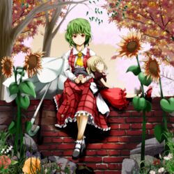  2girls ascot autumn autumn_leaves blonde_hair blush brick_wall commentary_request daisy flower green_hair highres kazami_yuuka lavender_(flower) medicine_melancholy multiple_girls on_wall orange_flower orange_rose own_hands_together plaid plaid_skirt plaid_vest red_eyes red_flower red_rose rose sentaku_(flashmechanism) sitting_on_wall skirt skirt_set snowbell_(flower) steepled_fingers sunflower touhou tree umbrella vest white_flower 