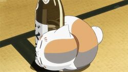  alcohol animated animated bottle feline multicolored_fur natsume_yuujinchou nyanko open_mouth rolling wine_bottle 