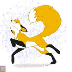  1:1 black_nose canid canine closed_eyes deanfox dipstick_tail feral fox foxenawolf fur gloves_(marking) happy leg_markings male mammal markings socks_(marking) solo tail tail_markings yellow_body yellow_fur 