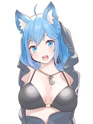  ahoge alternate_costume animal_ear_piercing animal_ears bikini black_bikini blue_eyes blue_hair blush breasts breasts_apart commentary_request dog_ears dog_girl dog_tags earrings female grey_hoodie highres hood hood_up hoodie jewelry large_breasts long_hair looking_at_viewer lovermoonlight medium_bangs nanashi_inc. open_clothes open_hoodie open_mouth round_teeth simple_background single_earring solo souya_ichika swimsuit teeth upper_body upper_teeth_only virtual_youtuber 