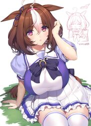  ahoge animal_ears arm_support bad_id bad_twitter_id bow bowtie breasts brown_hair cowboy_shot female grass hair_between_eyes hairband hand_up horse_ears horse_girl horse_tail large_breasts long_hair looking_at_viewer meisho_doto_(umamusume) minamon_(vittel221) multicolored_hair parted_lips pleated_skirt purple_bow purple_bowtie red_eyes red_hairband school_uniform short_hair simple_background sitting skirt streaked_hair tail thighhighs thighs tracen_school_uniform umamusume white_background white_hair white_legwear white_skirt 